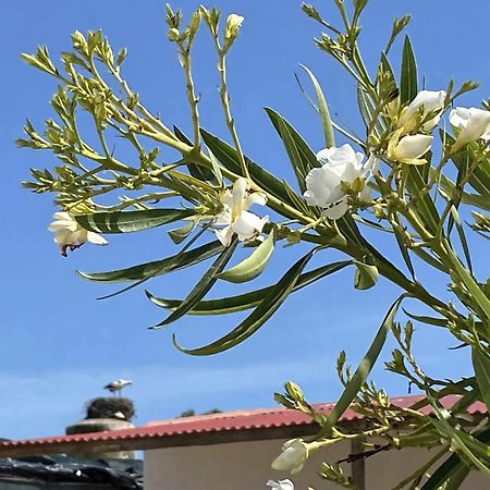 Herdade Dos Salgados Do Fialho 파로 외부 사진