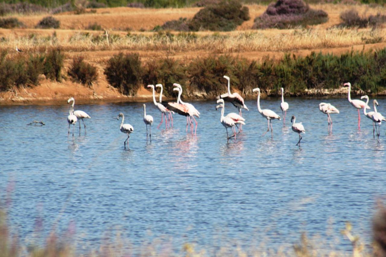 Herdade Dos Salgados Do Fialho 파로 외부 사진