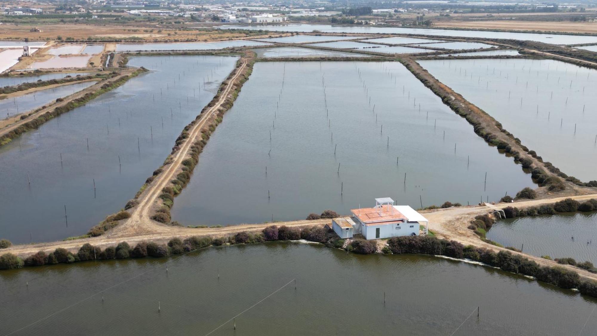 Herdade Dos Salgados Do Fialho 파로 외부 사진